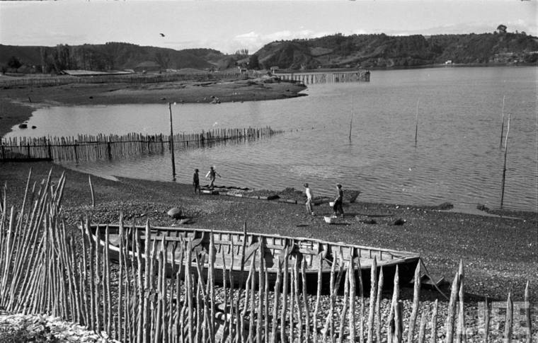 Thumb cercos de pesca en las cercanas de dalcahue en 1950
